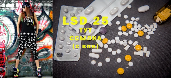 PSILOCYBIN Горняк