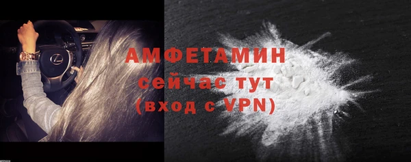PSILOCYBIN Горняк