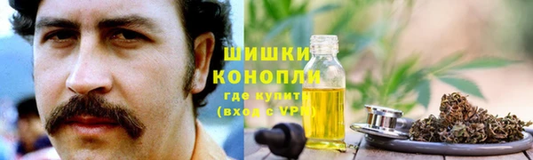 не бодяженный Горно-Алтайск