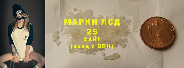 PSILOCYBIN Горняк