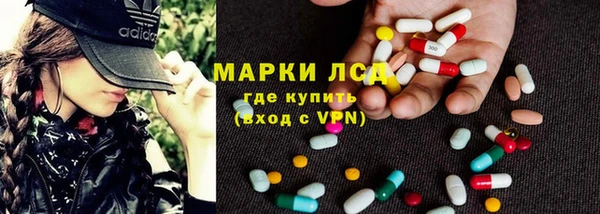 PSILOCYBIN Горняк