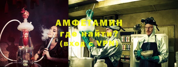 PSILOCYBIN Горняк